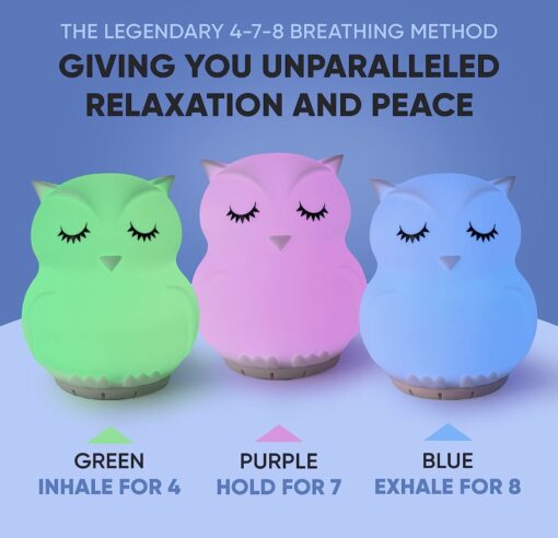 Mindfulness 'Breathing Owl'